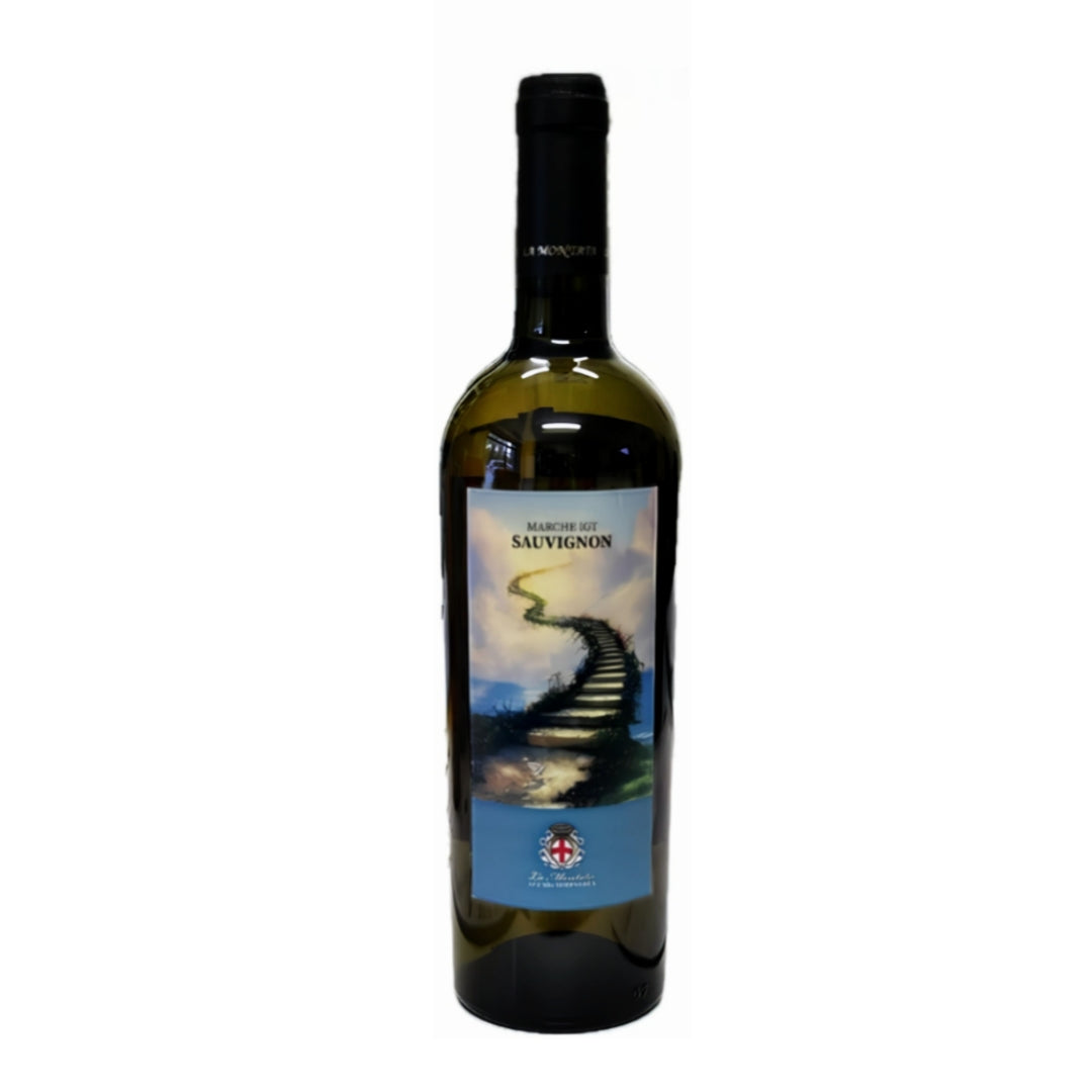 SAUVIGNON 2019 IGT